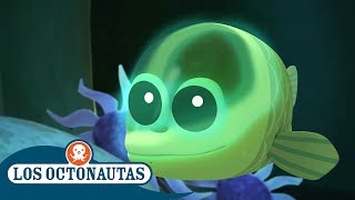 Los Octonautas Oficial en Español  El pez barril  Episodios completos [upl. by Ranilopa173]