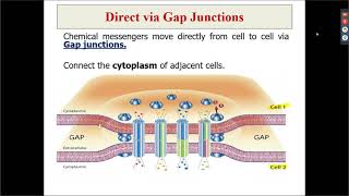 Intercellular communications physiology [upl. by Kramal]