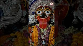 Jay Maa Kamarupa Kamarupa kalimaa kalipuja kalimata [upl. by Neeron]