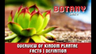 Kingdom Plantae  Overview of Kindom Plantae  Facts  Definition  Section 1 [upl. by Vladi]