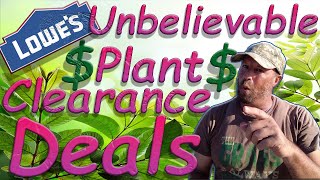 Lowes Clearance Plant Shopping Best Deal So Far [upl. by Nyrehtac]