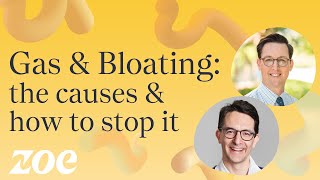 Gas and bloating the causes and how to stop it  Dr Will Bulsiewicz [upl. by Desmond937]