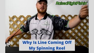 Penn Spinfisher V 6500 live liner fishing reel of the day fishing reel [upl. by Arymahs]