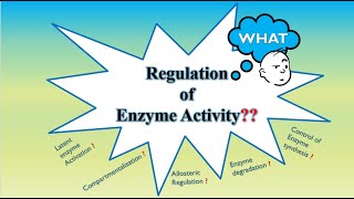 Regulation of Enzyme Activity enzymes 10 [upl. by Ahsinev]