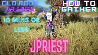 HOW TO GATHER IN BDO  OLD MOON EVENT JETIAN SEALS [upl. by Repip]