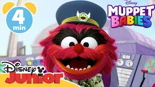 Muppet Babies  Animal the Pilot  Magical Moment ✈️  Disney Kids [upl. by Laicram393]