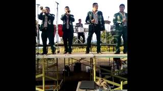 Banda puro nayarita en vivo [upl. by Adaynek]