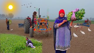 Gaon Ka Sair  Village Life Tour  Pakistani Village Life Routine  Traditional Village Life [upl. by Aicener402]