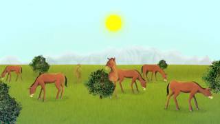 Evolution explained in an animation about the horse [upl. by Piggy]