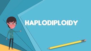 What is Haplodiploidy Explain Haplodiploidy Define Haplodiploidy Meaning of Haplodiploidy [upl. by Dryden]