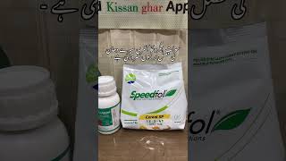 One last spray of swat agro bamboosa fungicide and speedfol cereal crop nutrition for Rice Crop [upl. by Livingston265]