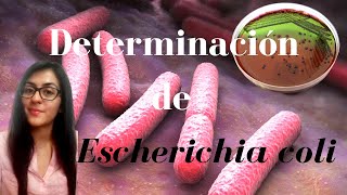 Determinación de Coliformes Totales y Escherichia coli [upl. by Sipple]