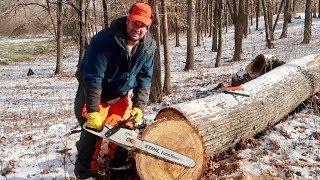 Stihl Chainsaw MS 271 Farm Boss Cutting 26 inch Tree with 18 inch bar [upl. by Toole]