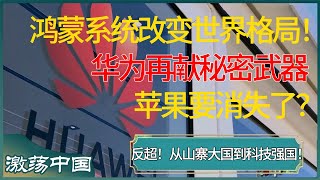 中国鸿蒙手机系统改变世界格局！华为再献秘密武器，苹果要消失了？华为 鸿蒙 中国 窦文涛 梁文道 马未都 周轶君 马家辉 许子东 圆桌派 圆桌派第七季 [upl. by Thury]