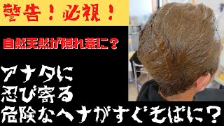 警告！そのヘナは「違法」？ヘナの闇を暴く！ [upl. by Ken]