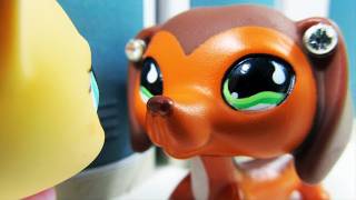 Littlest Pet Shop Popular Episode 12 The Rise and Fall of Brooke Hayes [upl. by Diella298]