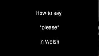 learning Welsh how to say quotpleasequot in Welsh [upl. by Vanessa147]