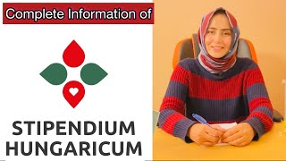 Latest updates of Stipendium Hungaricum Scholarship  Free education in Europe [upl. by Nattirb]