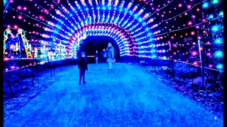 Ocean City Maryland Winterfest of Lights Nov 16  Dec 31 2023 preview [upl. by Tillman]