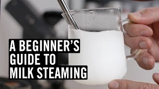 Everything You Need To Know To Steam Great Milk [upl. by Toolis853]