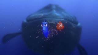 Dory talking whale scene Finding Nemo 2003 [upl. by Emelun80]