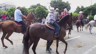 Cabalgata Horse Parade at the Feria de las Flores Flower Festival in Medellin Colombia [upl. by Amandy]