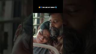 ❤️🥰😘 bestwhatsappstatus trendingshorts vibeseditz newmovie lovestatustamil tamilbgm vipseditz [upl. by Nueovas]