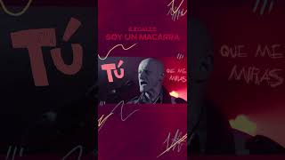 El viernes 4 de octubre se estrenará el lyric video de quotSoy un macarraquot y tiene esta pinta 🐇🐇🐇🐇 [upl. by Apeed]