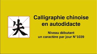 Calligraphie chinoise un caractère par jour n°1039 失 perdre [upl. by Palumbo]