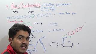 Polysaccharides Lecture 5 Glycogen Starch Cellulose and Iodine test in Urdu Hindi by Dr A Hadi [upl. by Arok]