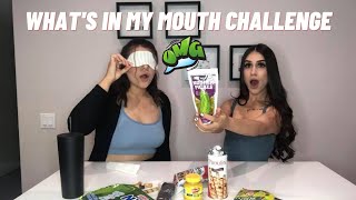 WHATS IN MY MOUTH CHALLENGE  I ALMOST PUKED [upl. by Elnar]