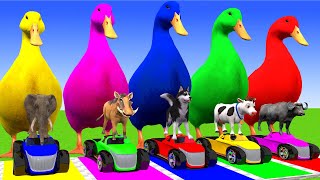 5 Giant Duck CartoonCowMammothDogTRexLionTiger Paint Wild Animals Crossing Fountain Animation [upl. by Okomom706]