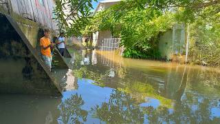 Pescando en el rio muy crecido con fuertes inundaciones con anzuelo y atarraya [upl. by Enilecram74]