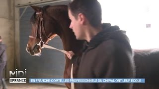 ANIMAUX  En FrancheComté les professionnels du cheval ont leur école [upl. by Sandy756]