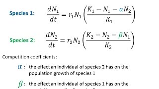 Modelling Interspecific Competition [upl. by Noyar]