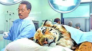 Dr Dolittle 2 Movie Explained in Hindi Urdu  Family Comedy Film summarized in हिन्दीاردو [upl. by Thgiwed]