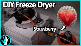 How to Build a Freeze Dryer [upl. by Drawdesemaj]