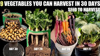 Top 9 Fast Growing Vegetables  SEED TO HARVEST IN 30 DAYS [upl. by Nirrak907]