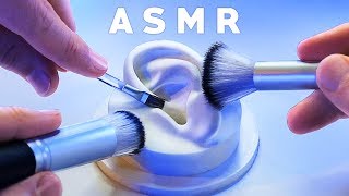 ASMR XXL Brushing amp Brushes ONLY Compilation NO TALKING Tingle Study Sleep Relax [upl. by Anaehs]