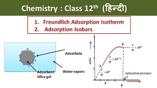 Freundlich Adsorption Isotherm And Adsorption Isobars Hindi  Class 12  Chemistry [upl. by Anesor147]