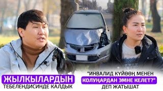 Жылкылардын ээси же айдоочубу ким күнөөлүү [upl. by Srednas]