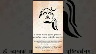 Mantra meaning day 1 of 108 rudraksha mantrajapa adhyatmic mahadev viralvideo viralreels [upl. by Nylyoj]