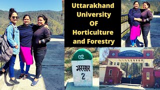 Uttarakhand University of Horticulture and Forestry  Bharsar  Pabou bazaar 😍 Shalini rawat [upl. by Leblanc]