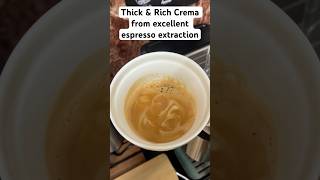 Thick amp Rich Crema Espresso crema espresso coffee espressomachine shorts [upl. by Swithbert821]