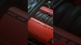 2003 c5 z06 ls6 broken valve spring engine noise [upl. by Beuthel594]