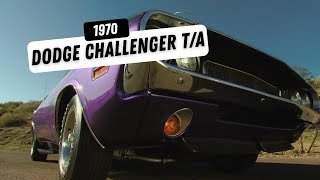 1970 Dodge Challenger TA in Plum Crazy at Scottsdale Auction [upl. by Peednama]