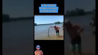 Homem corajoso pega cobra pico de jaca [upl. by Sitoiyanap727]