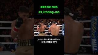 기본기가 강한 비볼의 잽 시리즈 1 probing jab boxing 복싱 비볼 [upl. by Jakoba]