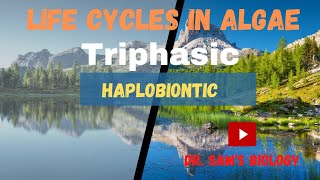 Life cycles in AlgaePart4 Triphasic Haplobiontic Triphasic [upl. by Alyled354]