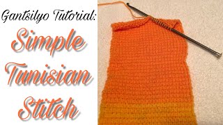 Gantsilyo tutorial Simple Tunisian Stitch PhilippinesFilipino [upl. by Bolt]